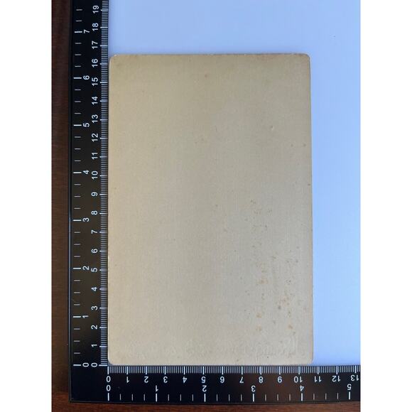 Antique Cabinet Card Photo Early 1900s Well Off Family Hissong & Son LaGrange IN - Picture 5 of 5